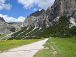 Von der Bergstation wählen wir den oberen Weg durch die Latschen Richtung Sattel