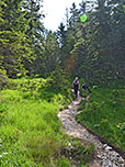 ...und ein weiteres Waldstück