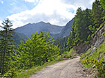 ...auf den Fahrweg zur Plumsjochhütte