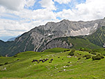 ...und zum Falzthurnjoch