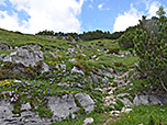 ...zum Satteljoch ein