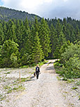 ...und folgen dem Forstweg...