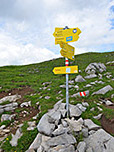 ...in den Sattel zwischen Kompar und Satteljoch hinunter