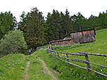 ...gehen wir wieder in den Wald hinein...