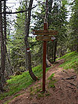 ...treffen wir auf den Weg Nr. 6, der vom Braunhof herauf führt
