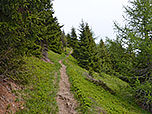 ...und folgen dem Pfad aus dem Wald hinaus