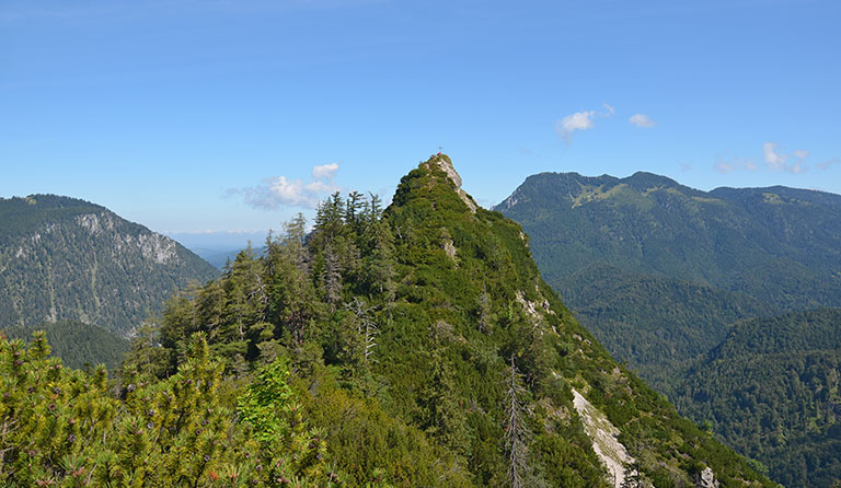 Saurüsselkopf (1270 m)