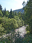 Blick auf den Fischbach