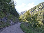 ...ins Tal des Fahsteigenbachs hinein