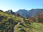 Wir queren die Westflanke des Schachenbergs
