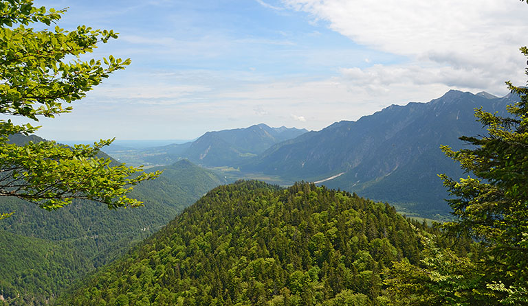 Schafkopf (1380 m)