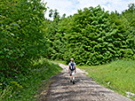 ...und folgen für ein kurzes Stück dem breiten Forstweg