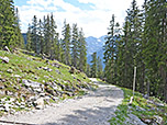 ...und über den Forstweg geht es hinunter ins Rißtal