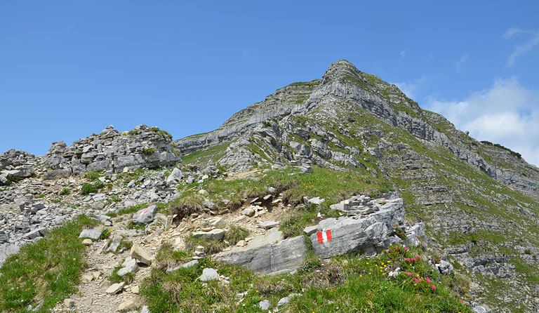 Schafreuter (2102 m) über den Leckbachweg