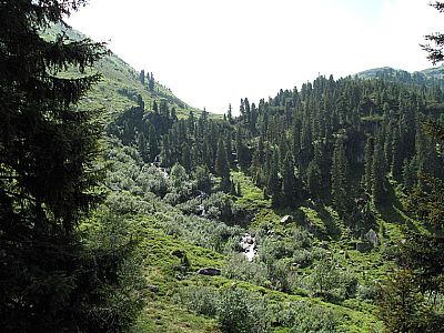 Hinter diesem Kessel liegt die Bamberger Hütte