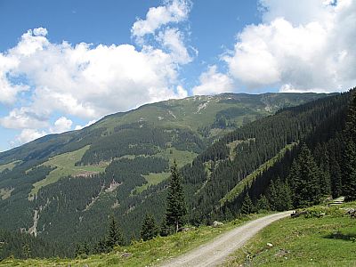 Blick zum Steinbergstein