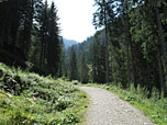 Zu Beginn geht es über einen breiten Forstweg