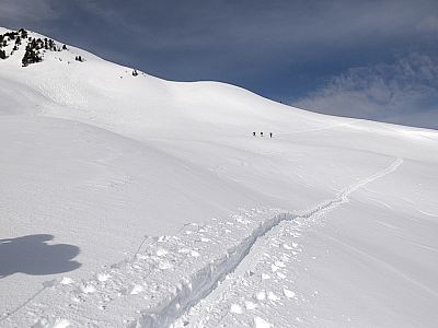 Die Spur führt uns in mehreren Serpentinen durch das baumfreie Gelände