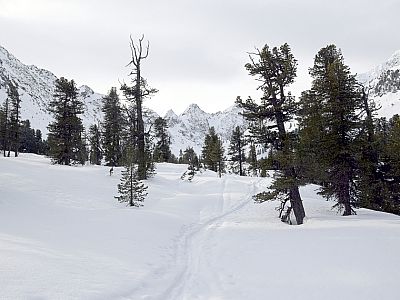 Die Spur führt weiter zu den Karlesspitzen, wir halten uns jedoch rechts nach Westen