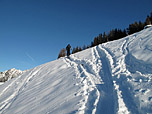 Nach der Alm wird das Gelände etwas steiler
