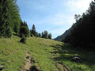 Im Anschluss folgt eine ebene Wiese...