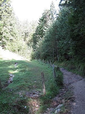 Über einen schönen Pfad bergauf