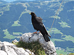 Nicht nur der Bergsteiger der Hunger