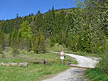 Der Beginn des Aufstiegs im Graswangtal