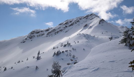 Scheinbergspitze