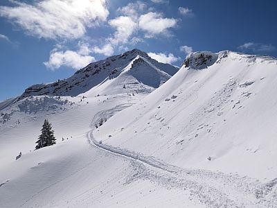 Wer den Gipfel besuchen möchte quert hier ein Stück...