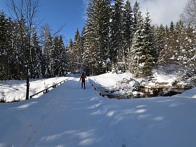 Eine Brücke führt uns über den Sägertalbach