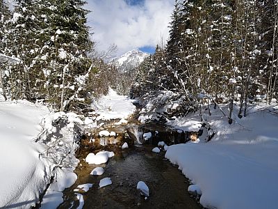 Die Große Klammspitze über dem Sägertalbach