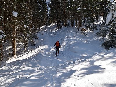 Hier marschieren wir gradaus weiter und verlassen die Forststraße