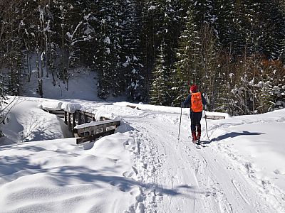 Wieder auf der Forststraße überqueren wir den Hundsfällgraben