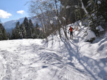 Dahinter können wir durch den Wald ein wenig abkürzen