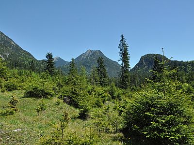Bild Mitte der Rauhenstein u. das Rauheck, rechts der Ofenberg