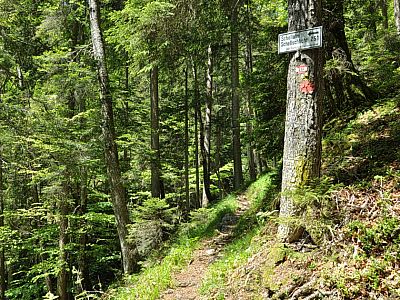 Wir halten uns links.