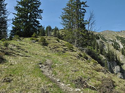 Wir steigen weiter zum Hohen Brand auf.