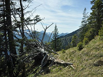 Blick nach Westen am Schellkopf vorbei zum Thaneller