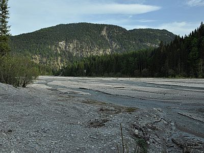 ... und die Kiesbänke der Naidernach