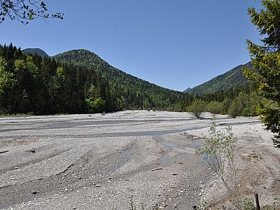 Links die weiten Kiesbänke der Naidernach, die in die Loisach fließt.
