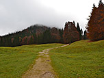 Nach der Alm überschreiten wir eine große Lichtung...
