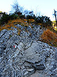 ...leitet der teilweise drahtseilgesicherte felsige Steig aufwärts