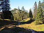 Wir wandern direkt...