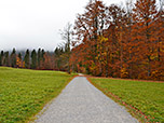 ...bis zum Waldrand