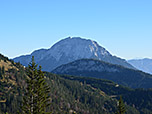 Der Guffert