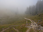 Nach der Geißalm vollzeiht der Weg einen Linksbogen