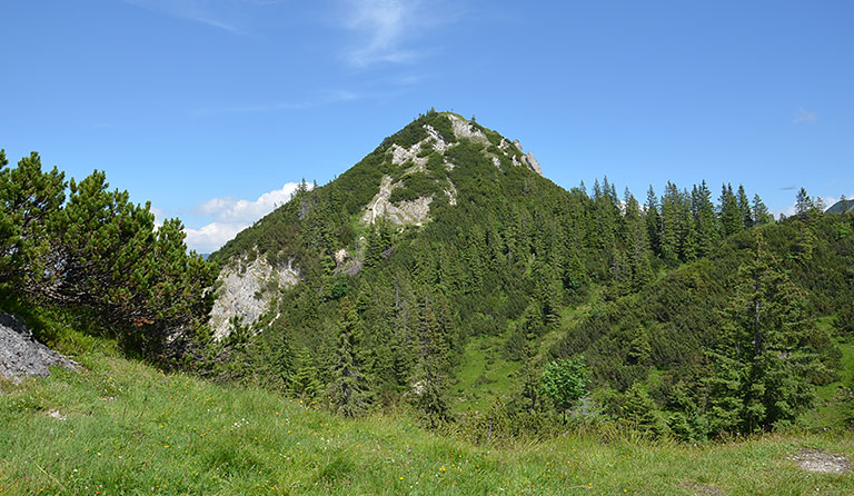 Schildenstein (1613 m) über die Königsalm
