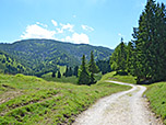 Der Weg leitet uns nun sanft bergab