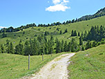Der Weg bringt uns nach insgesamt 1 ¼ Stunden...